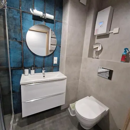 Apartment Brzozka