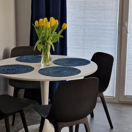 Brzozka ルシノボ